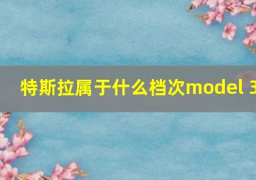 特斯拉属于什么档次model 3